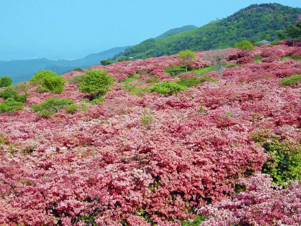 Hotel Pearl City Kesennuma Eksteriør bilde